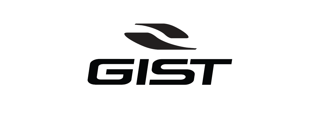 GIST ITALIA SRL