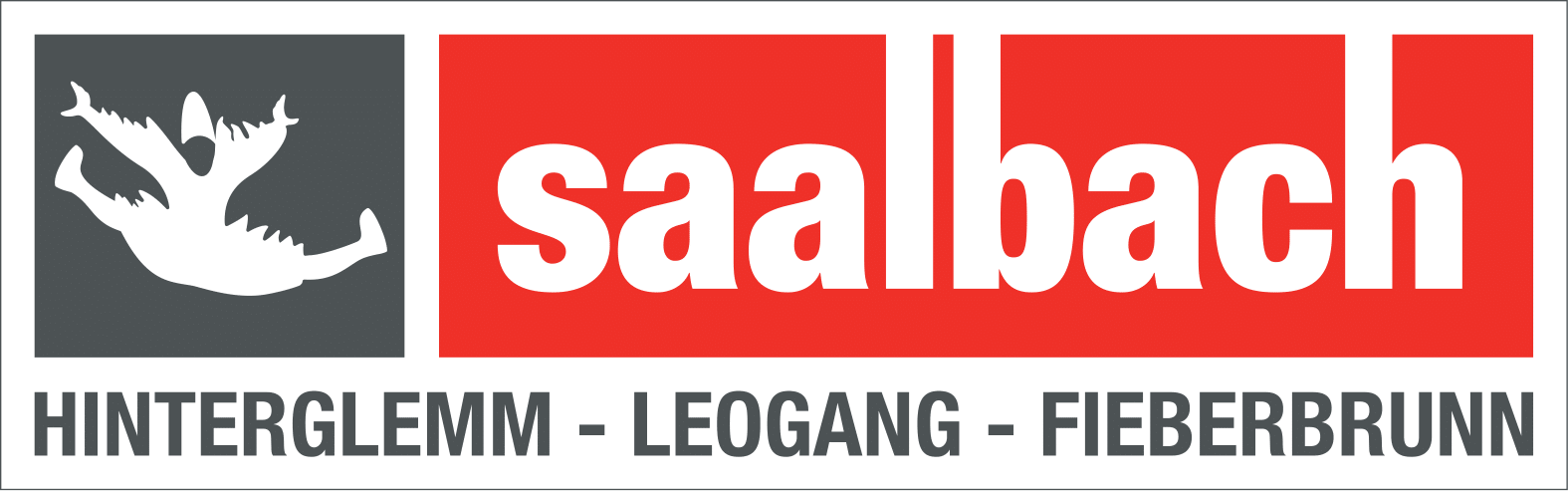 Saalfelden Leogang Touristik GmbH