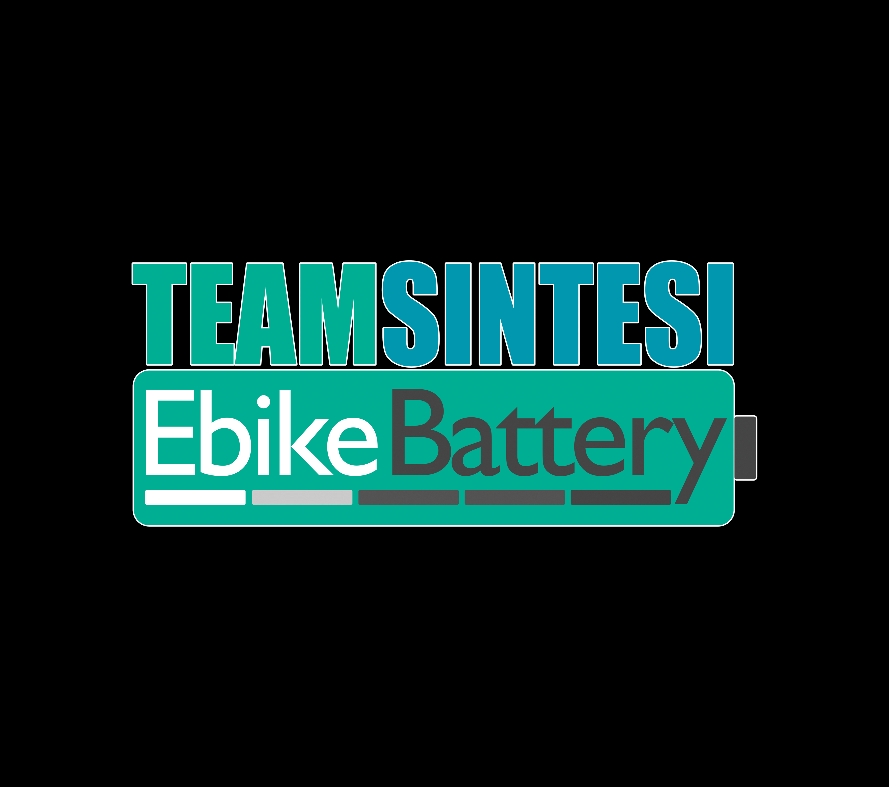 Teamsintesi Ebikebattery S.r.l.